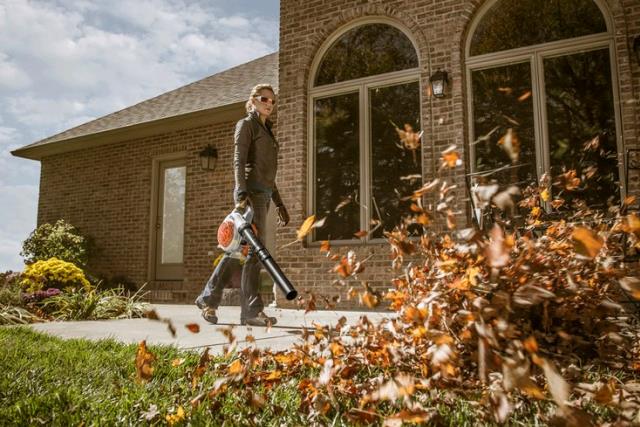Where to find BG 56 C-E HANDHELD BLOWER in Tampa